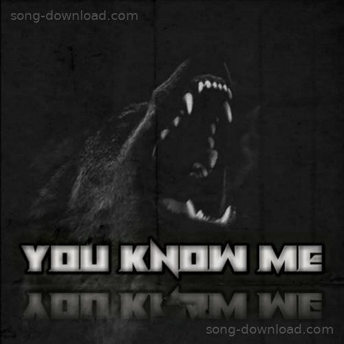 You Know Me Wraith MP3 Download